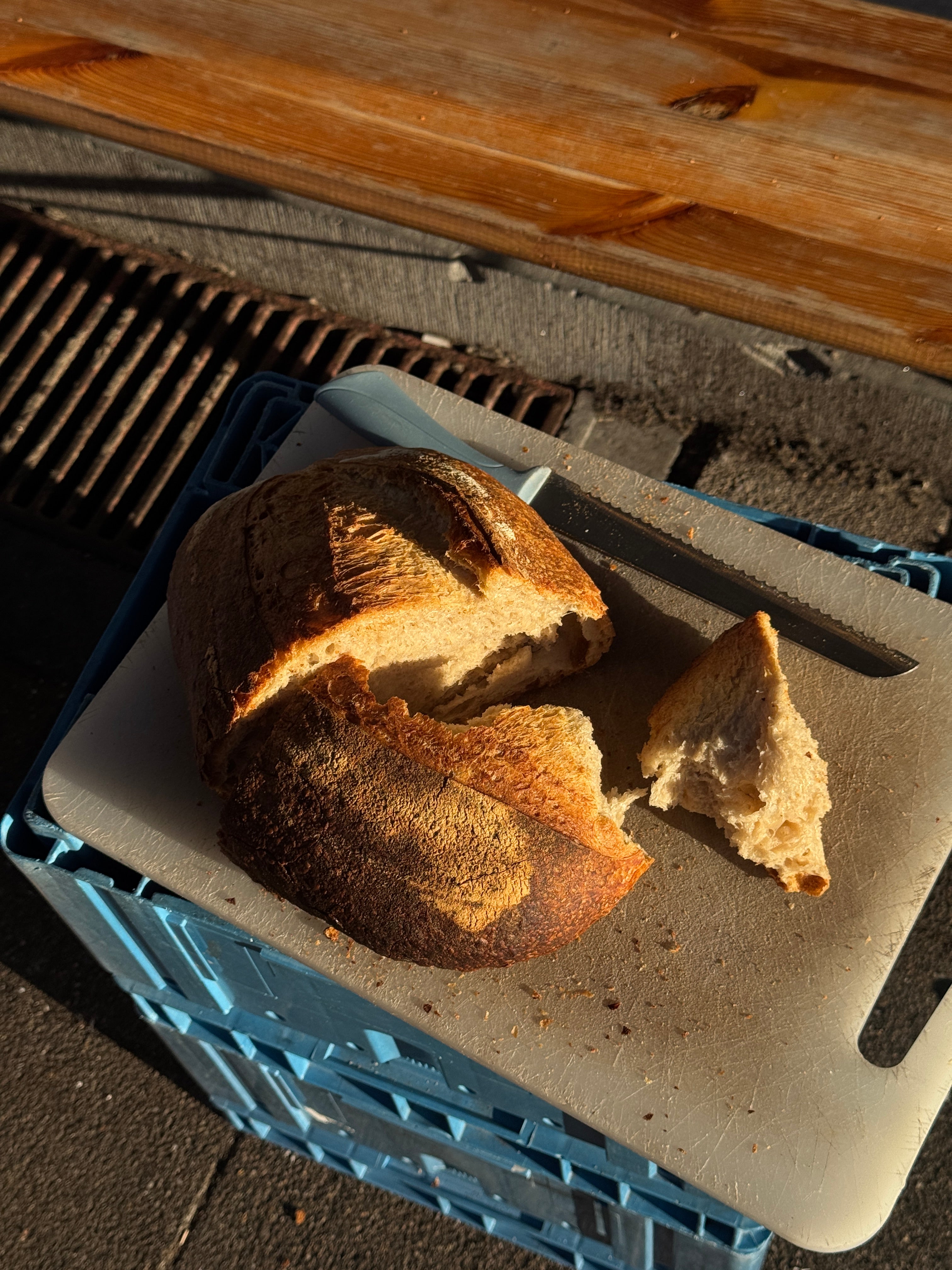 Large Sourdough Bread